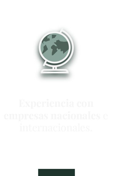 Experiencia con empresas nacionales e internacionales.